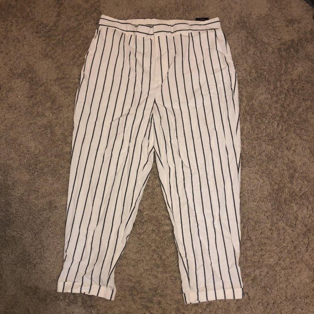 Striped Straight Leg Pants (Plus Size)